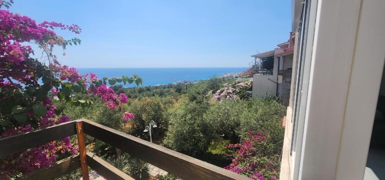 The Olives Terrace Residences Dhërmi